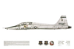 No 121, T-38A Talon, 50 TFS, USAF